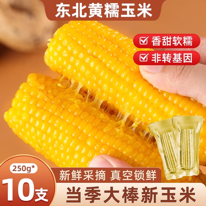 东北黏玉米棒真空包装早餐新鲜甜粘黏黄糯黑龙江真空装代餐当季