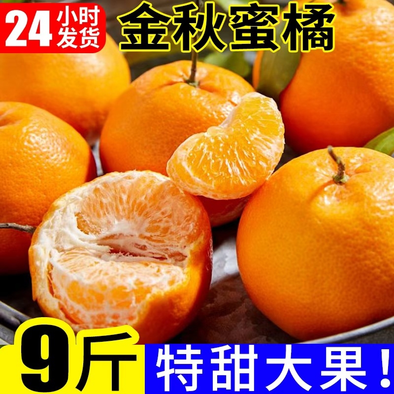 金秋蜜橘特早熟橘子新鲜水果9斤当季5黄皮桔子无籽孕妇整箱柑橘