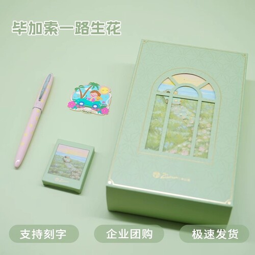 毕加索小清新高颜值套装钢笔