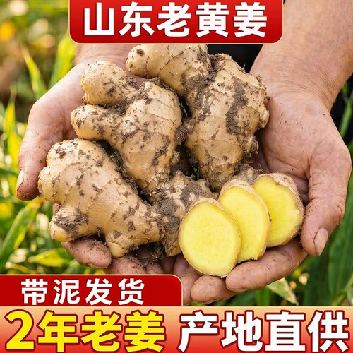 山东大姜黄姜2斤/5斤新鲜现挖生姜产地直发老姜农家现挖新鲜整箱