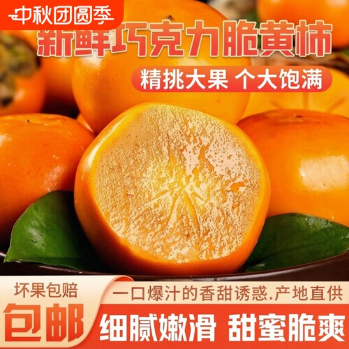 脆甜正宗阳丰脆柿新鲜应季水果甜柿子巧克力冰糖无核硬柿子礼盒
