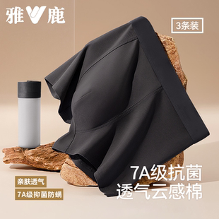 内裤 平角夏季 纯棉大码 头男式 透气 男生宽松运动青少年四角短裤 男士