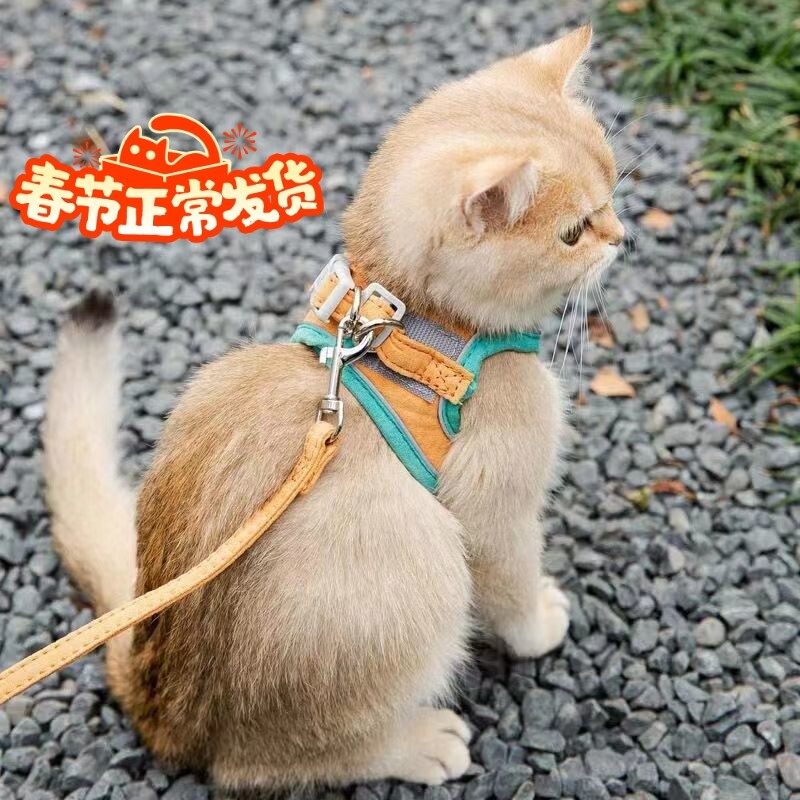 炅哆哆猫咪牵引绳子胸背带防挣脱图片