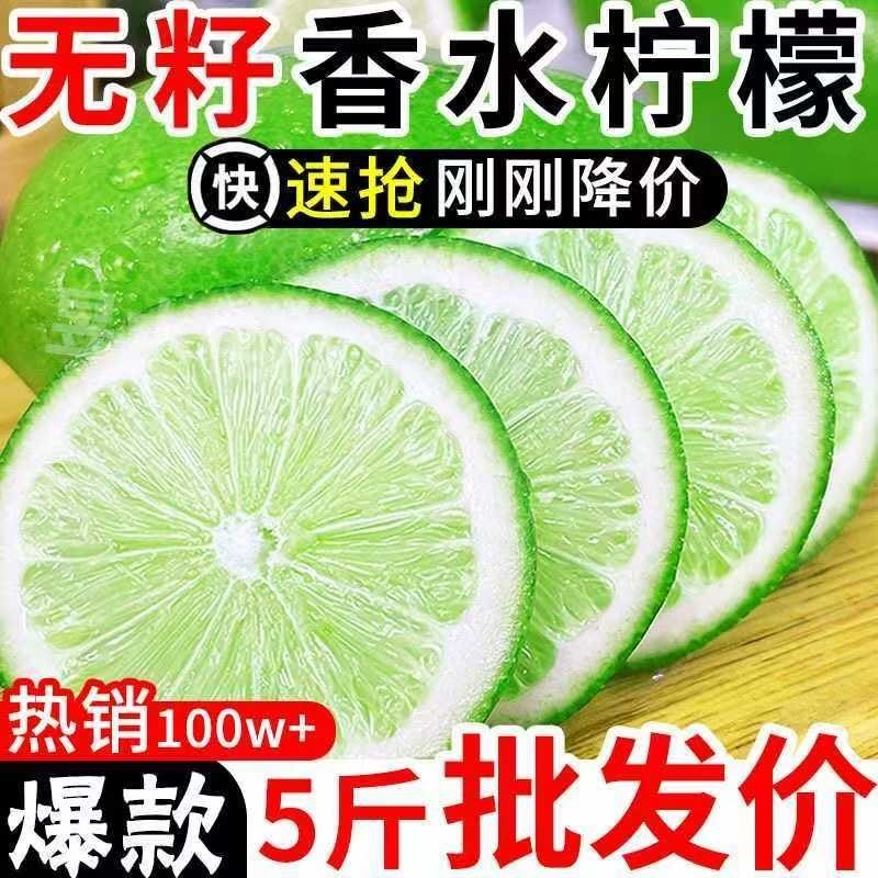 海南香水柠檬新鲜水果包邮子弹头无籽青柠檬奶茶茶饮专用鲜柠檬