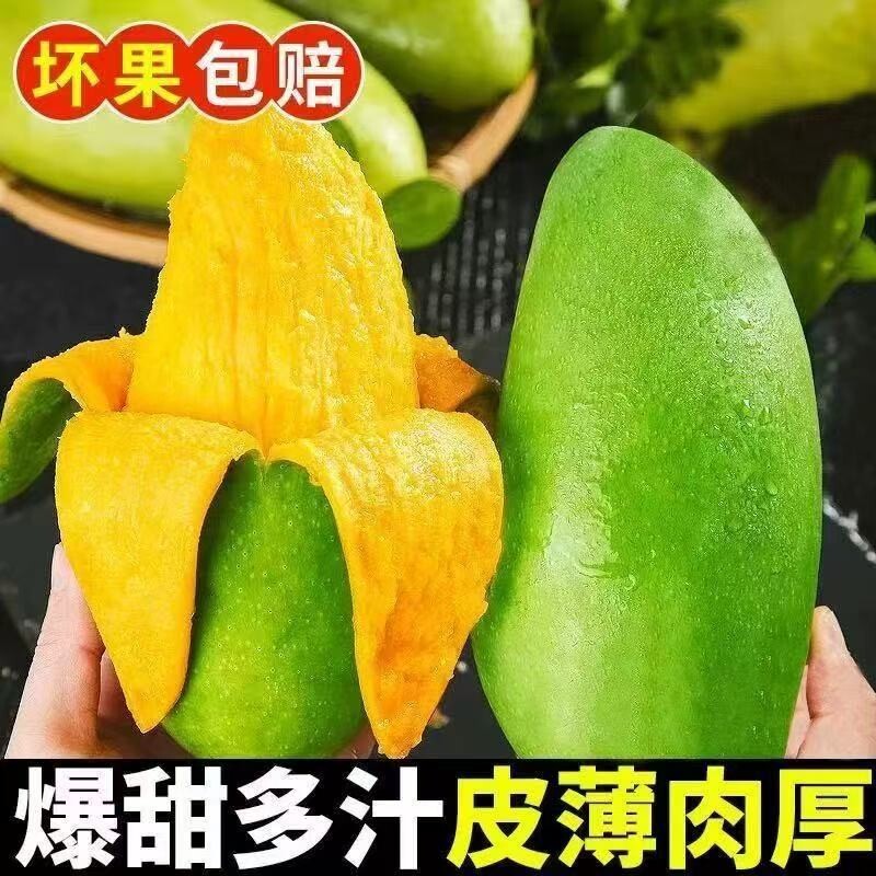 正宗云南现摘现发大青芒新鲜应季水果青皮金煌芒整箱批发超大芒果