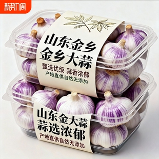 山东金乡原产地直发大蒜当季 大蒜头干货炒菜调味辛辣味浓郁