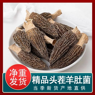 近期新货头茬羊肚菌干货新鲜晾晒个大饱满菌香浓郁颗颗精选批发