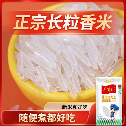 猫牙米长粒香大米20253年新米香米长粒米正宗米饭当季优质新鲜