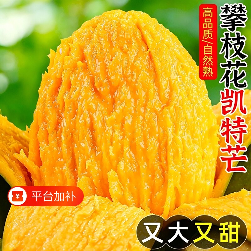 四川芒果凯特攀枝花新鲜大果5-9斤水果当季应季忙青皮特大现货