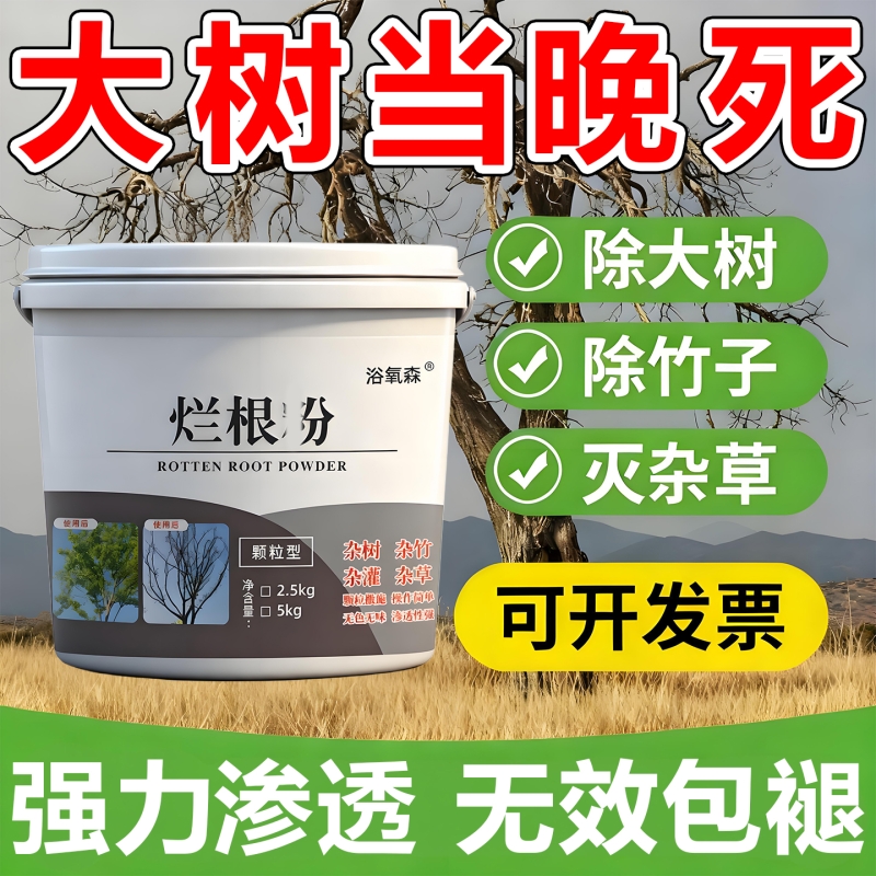 大树烂根专用药竹根连根除大树杂草烂根专用药强力腐树灭根粉剂Y