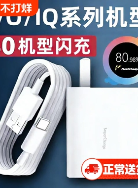 vivo原装充电器120iqoo超级闪充10/9/8/7爱酷手机z5z8x23x27x60x50y52s快充插头s31iQOO数据线套装有线