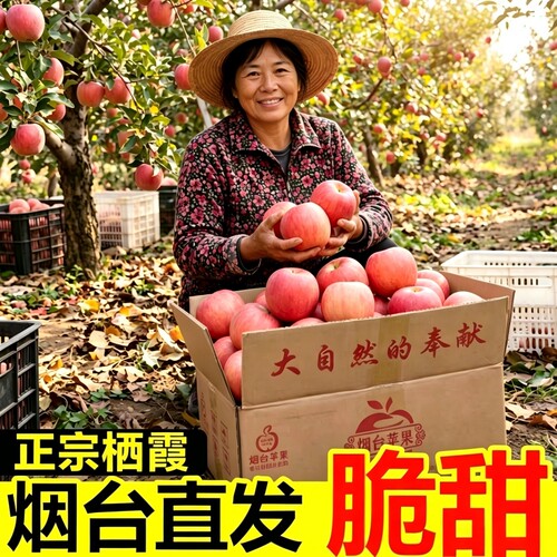 苹果烟台红富士新鲜水果应当季整箱包邮脆甜冰糖心5斤孕妇批发
