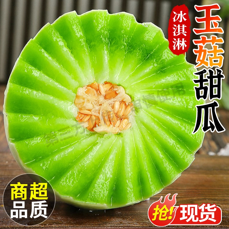 山东玉菇甜瓜冰淇淋甜瓜薄皮青皮香瓜新鲜水果批发包邮现摘脆甜