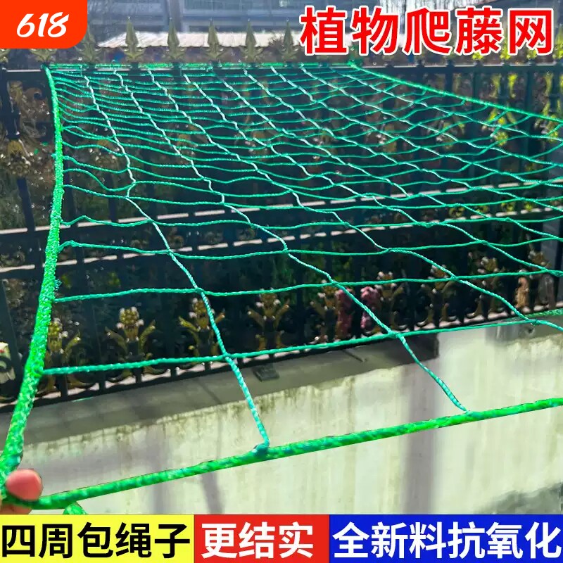 植物爬藤网攀援网园艺搭架网瓜果丝瓜苦瓜月季藤蔓花卉攀爬种植网