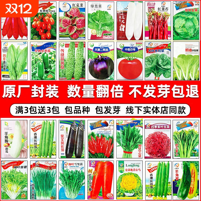 蔬菜种子四季播种盆栽阳台种庭院香菜生菜菠菜小葱白菜耐高温易种