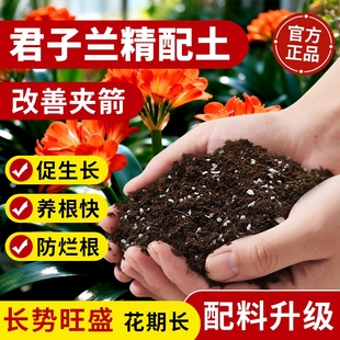 君子兰专用土兰花通用型营养土盆栽花卉有机种植土壤养花泥土肥料