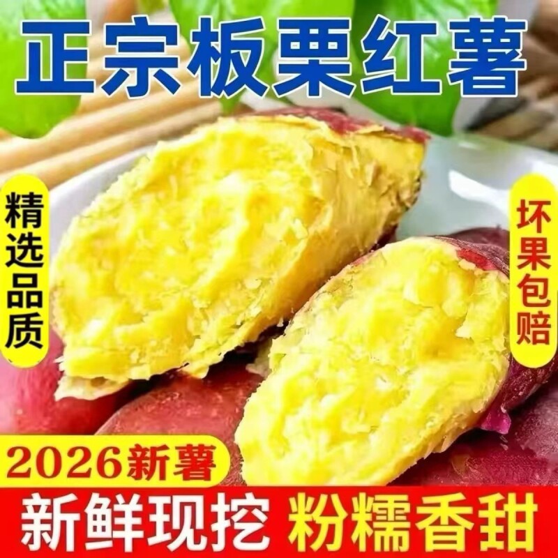 新鲜黄心板栗薯糖心红薯蜜番薯沙地烤地瓜农科院山芋当季香甜软糯 薯家实拍商品图