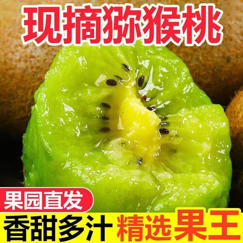 正宗陕西绿心猕猴桃奇异果
