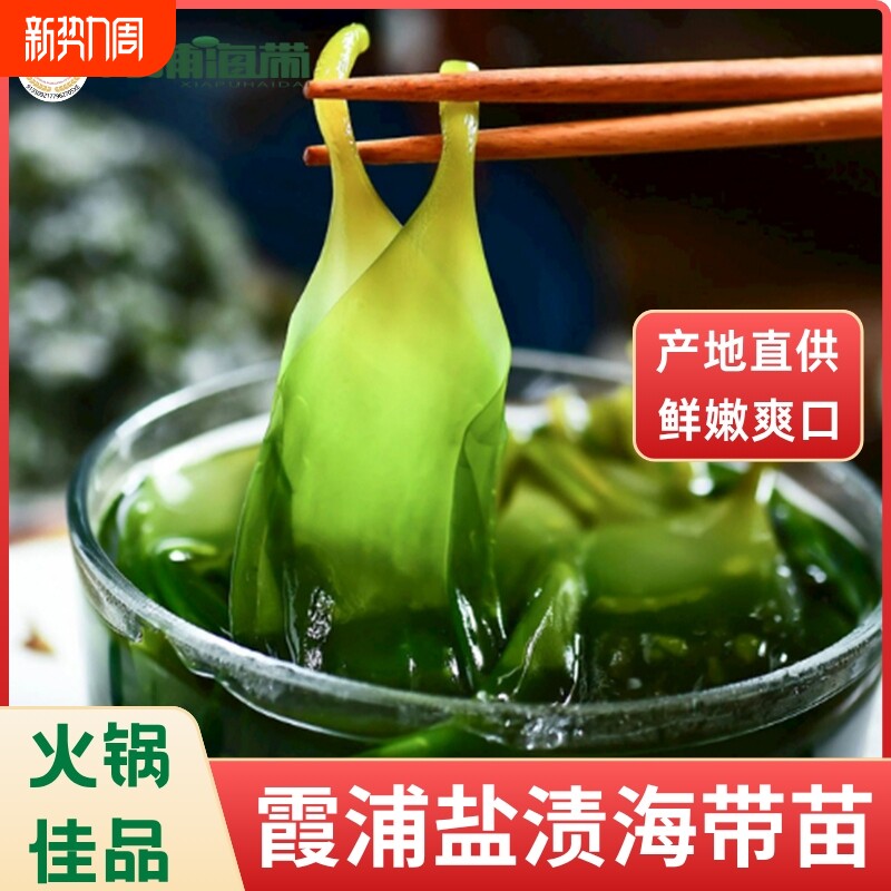 霞浦新鲜当季盐渍海带嫩苗盐渍海带苗地标特产凉拌火锅食材非干货
