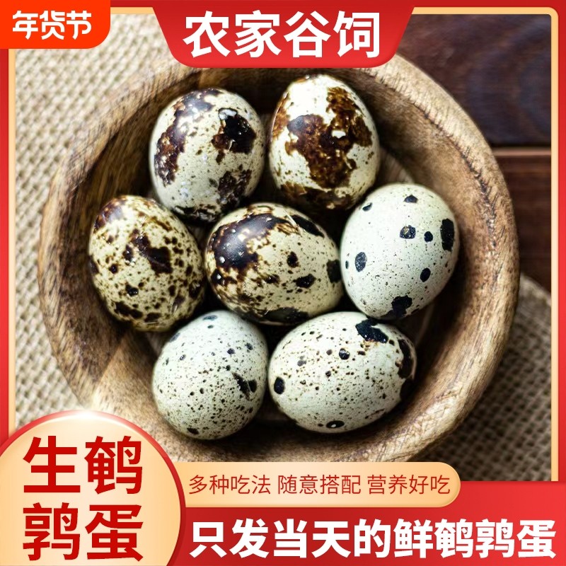 新鲜生鹌鹑蛋农家土特产杂粮喂养孕妇宝宝小鸟蛋农家自产50枚,水产肉类/新鲜蔬果/熟食,鸡蛋,淘宝优惠券,粉丝福利购,淘宝优惠卷