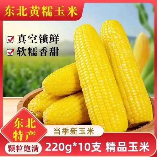 2025年新东北黄糯玉米10根真空包装新鲜香粘粘苞米粗粮真空装健康