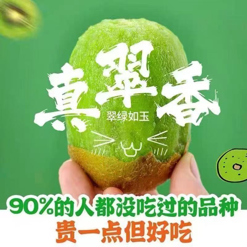 正宗周至翠香猕猴桃新鲜水果当季整箱绿心奇异果应季5斤包邮