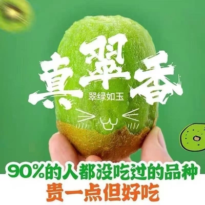 正宗周至翠香猕猴桃新鲜水果当季整箱绿心奇异果应季5斤包邮
