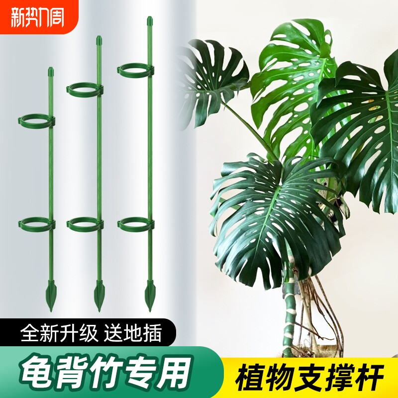 园艺支撑杆花架固定器龟背竹花支架固定花神器植物花杆爬藤防倒伏