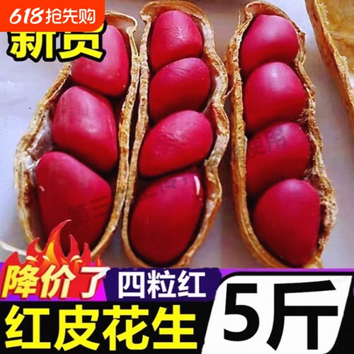 红皮花生米2025新货四粒红去壳新鲜干花生米红衣农家自种生花生