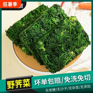 荠菜野菜新鲜包邮蔬菜顺丰商用速冻荠菜馅饺子荠荠菜地菜馅料特产