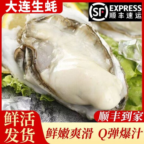 大连冷水生蚝5斤装非乳山肥美大号牡蛎新鲜海鲜顺丰包邮鲜活
