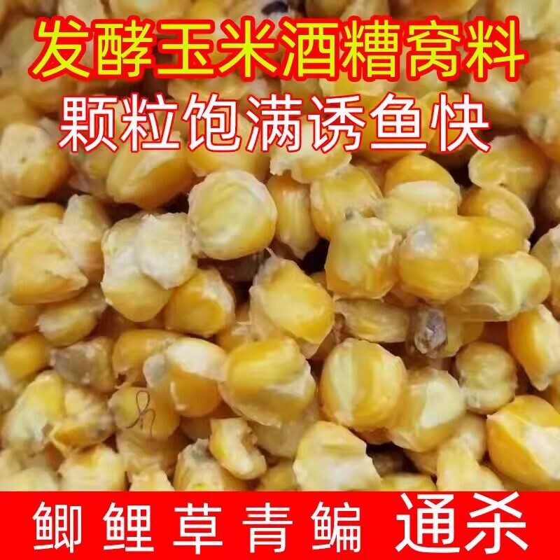 5斤桶装发酵玉米大物窝料小麦老坛五谷杂粮野钓鲫鱼草鱼鲤鱼饵料图片