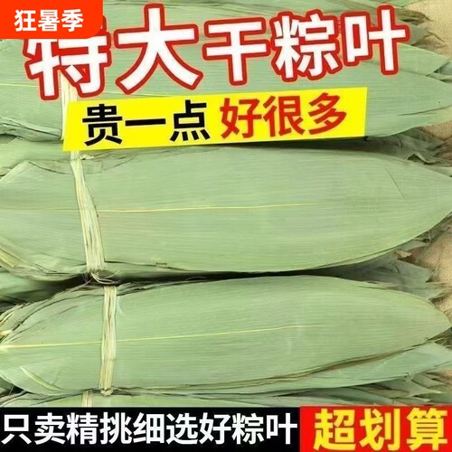 粽叶干大号粽子叶包粽子的叶子芦苇专用老式棕叶新鲜竹叶特大端午