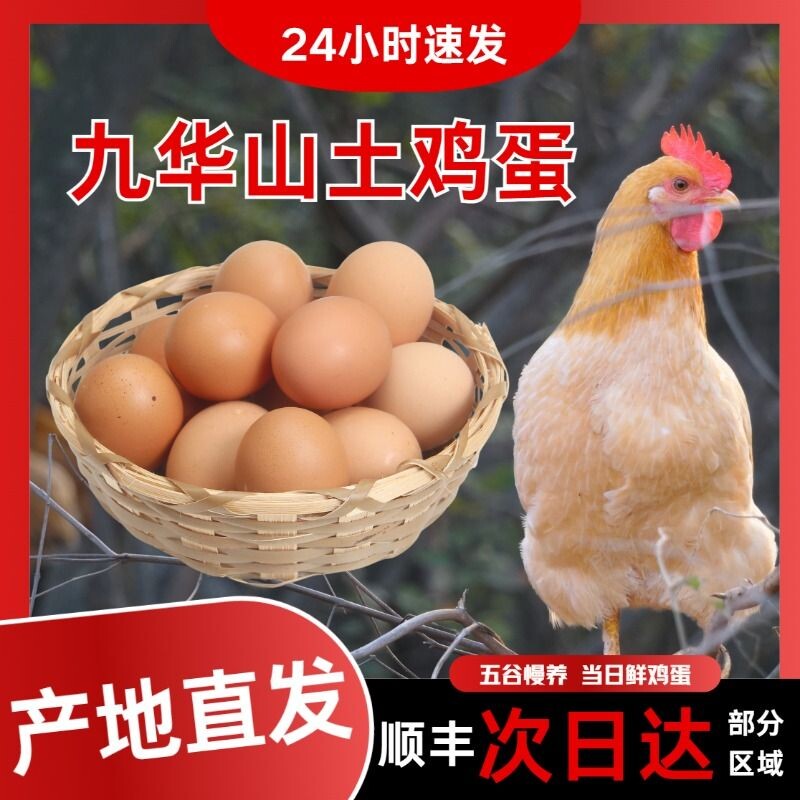 皖南土鸡蛋九华山高山散养竹林蛋50枚产地顺丰包邮新鲜次日谷物