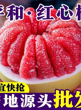 红心柚子正宗福建平和蜜柚当季新鲜孕妇水果薄皮三红肉整箱5/9斤