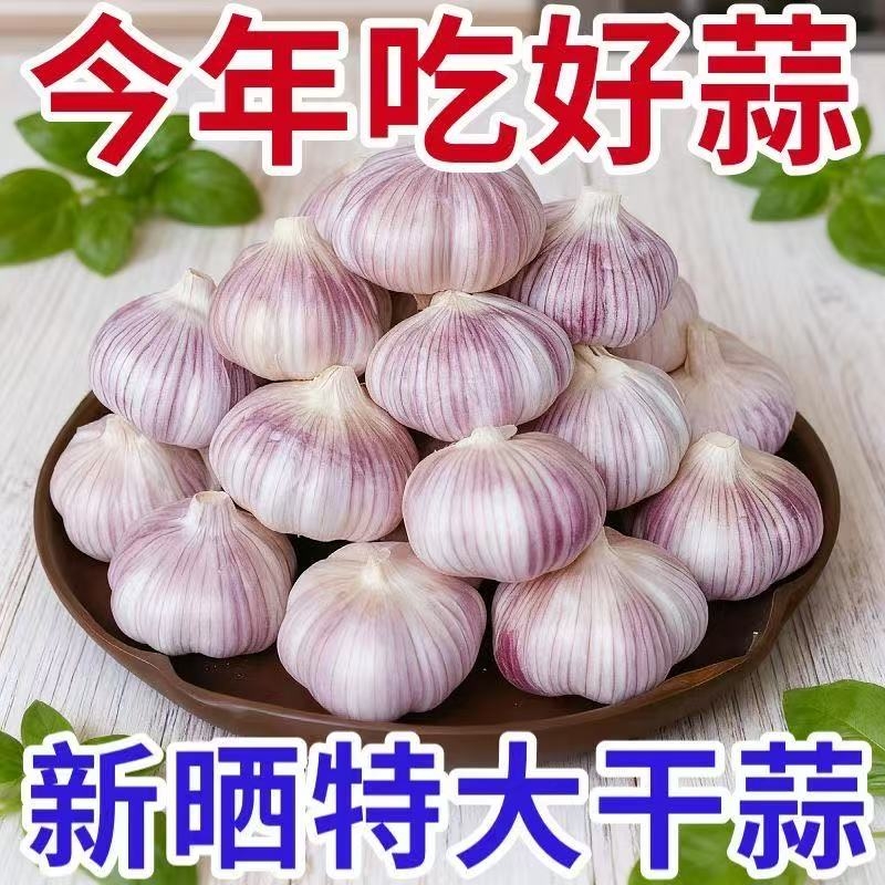【产地批发】正宗金乡紫皮大蒜特大特级蒜新鲜便宜蔬菜干蒜头清仓