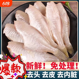 耗儿鱼中小号冰鲜扒皮鱼新鲜剥皮鱼大号冷冻马面鱼商用批发火锅料