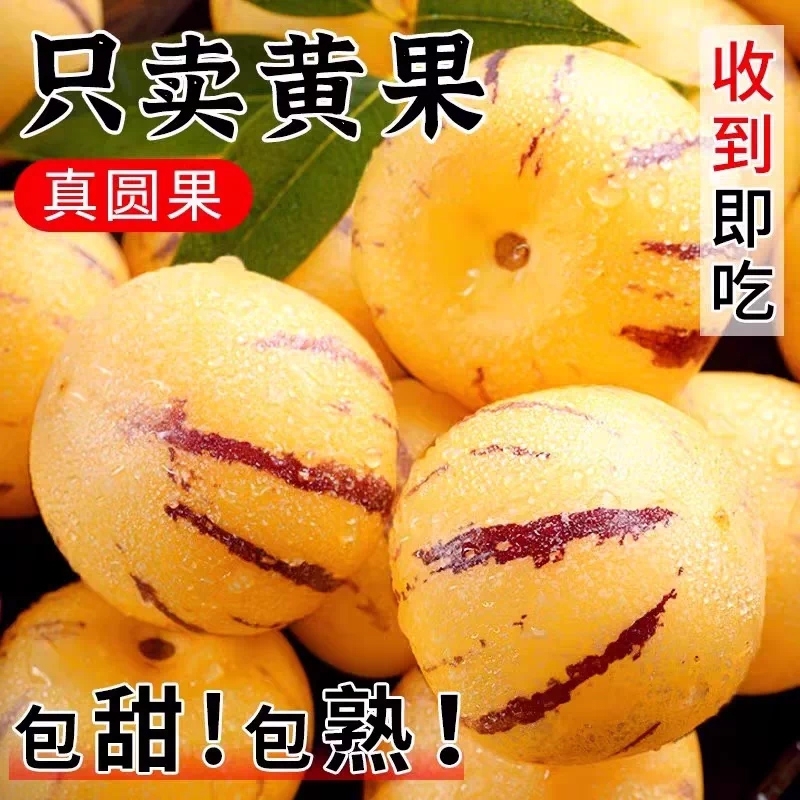 人参果新鲜水果云南石林树上熟人生果圆果大果现摘黄肉黄心人叁果