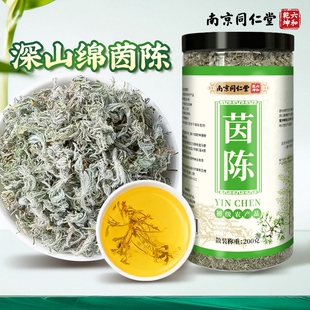 同仁堂茵陈中药材泡茶煮水官方旗舰店当季新货白蒿草养肝护肝正品