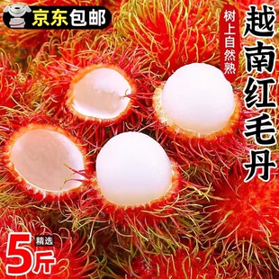 【3846人收藏】6A+级越南红毛丹整箱包邮新鲜应季水果正宗毛荔枝