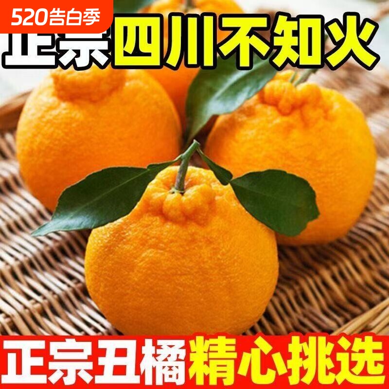 正宗四川不知火丑橘耙耙柑新鲜水果粑粑柑现摘发货当季水果好鲜果