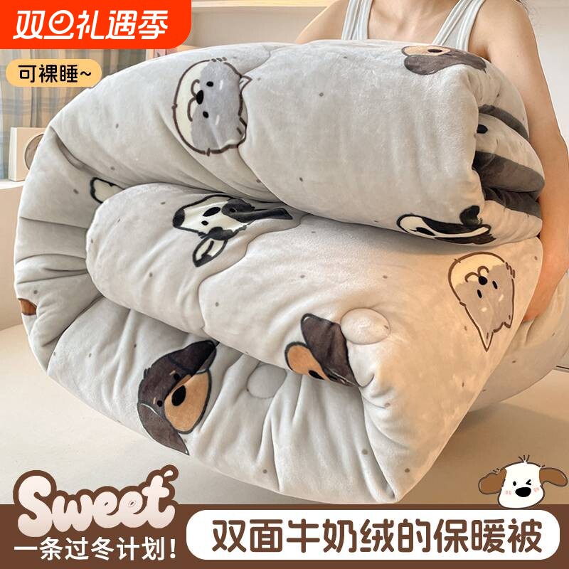 免被罩双面绒被子秋冬2025新款加绒加厚软被ins学生被褥被芯双