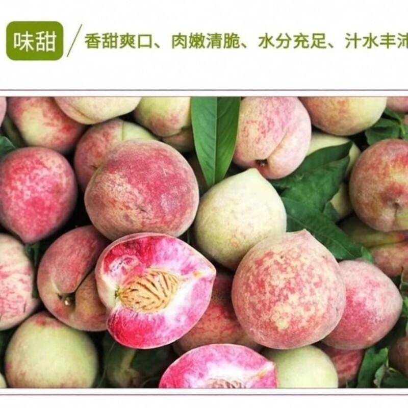 血桃湖北特产新鲜应季脆甜孕妇当季水果高山老树足味现摘多汁离核