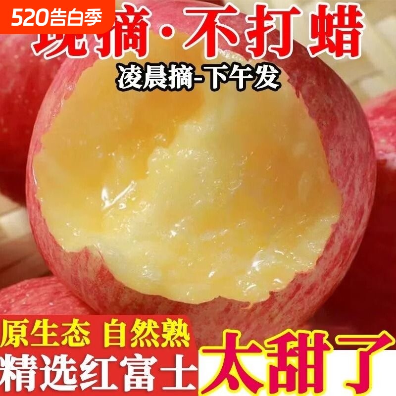 精品纸夹馍山西平陆富士苹果新鲜水果大果采摘冰糖心现摘年货节