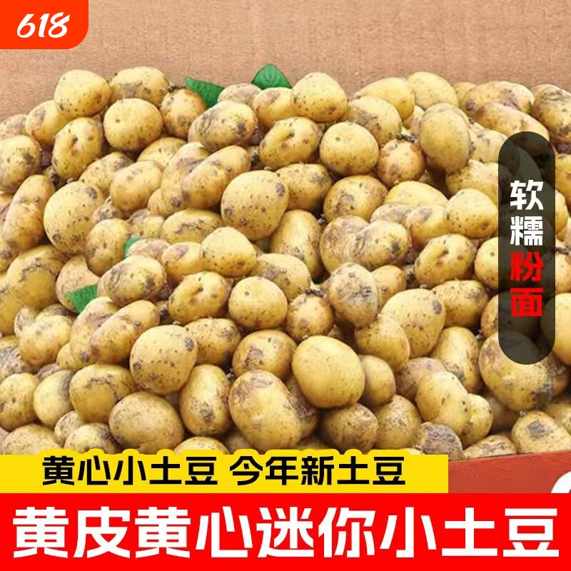 恩施小土豆新鲜富硒黄心小士豆迷你高山洋芋珍珠马铃薯
