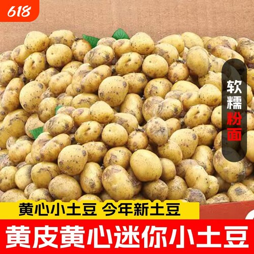 恩施小土豆新鲜富硒黄心