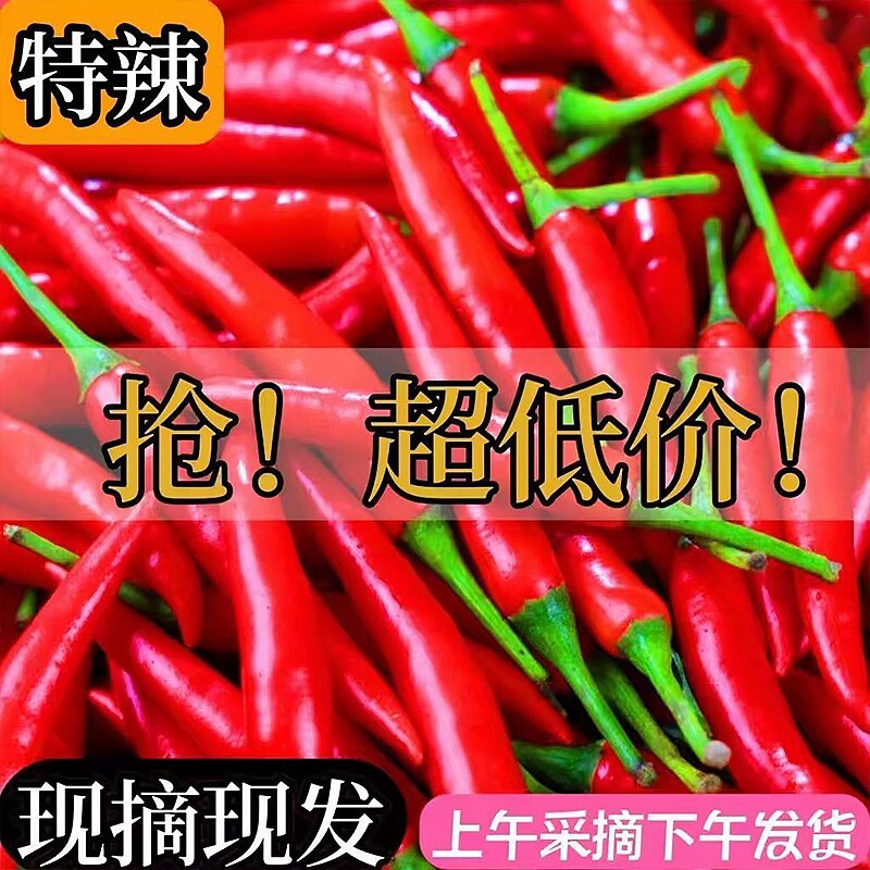 正宗小米椒新鲜采摘薄皮特辣魔鬼红辣椒朝天椒指天椒尖椒蔬菜批发