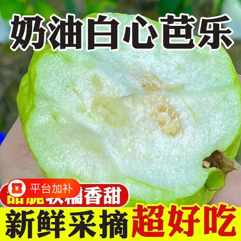 新鲜芭乐水果包邮白心硬番石榴软心当季整箱5斤应季时令鲜果生鲜