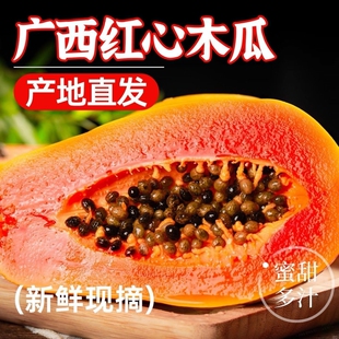 红心牛奶木瓜新鲜孕妇水果当季冰糖心青皮木瓜树上自然熟9斤整箱