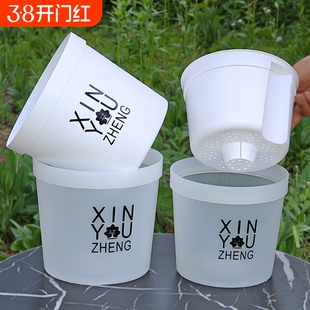 半透明绿萝花盆水培双层套盆桌面加厚盆栽储水免浇懒人家用爆款盆